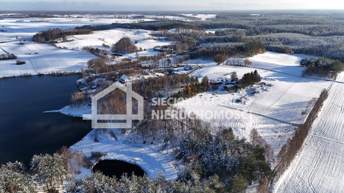 Działka rolna na sprzedaż Przęsin  3 000m2 Foto 7