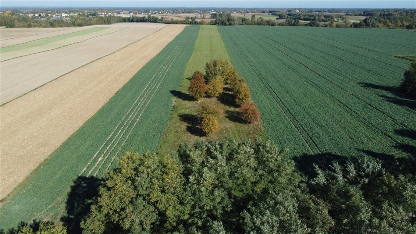 Działka rolna na sprzedaż Szczytno  20 000m2 Foto 7