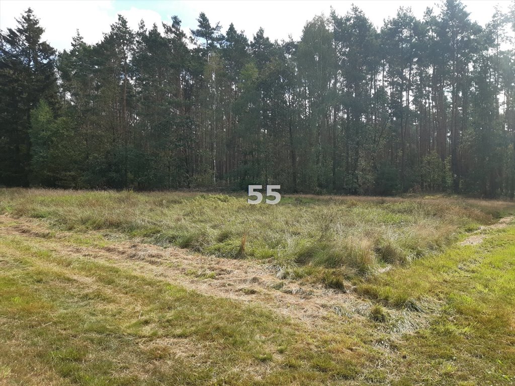 Działka rekreacyjna na sprzedaż Barycz  4 665m2 Foto 4