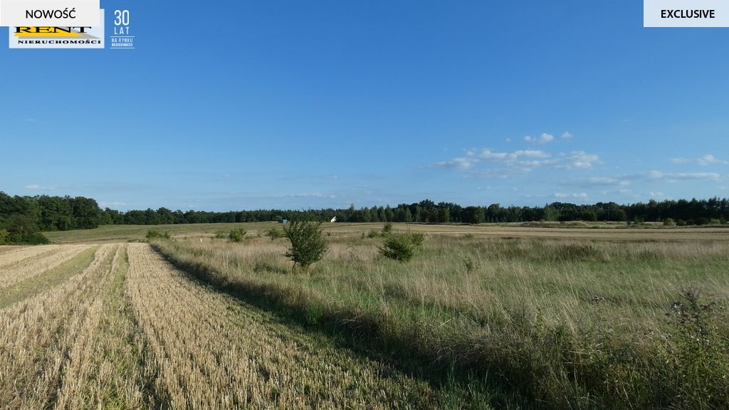 Działka rolna na sprzedaż Kamieniec  3 088m2 Foto 4