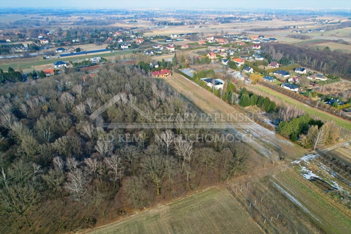 Zdjęcie 6