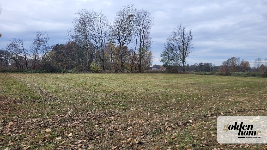 Działka budowlana na sprzedaż Kąkolewo, Albertowsko  5 000m2 Foto 1