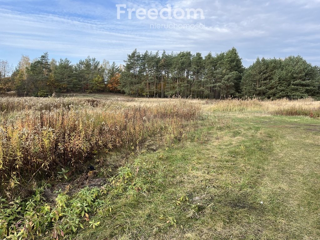 Działka budowlana na sprzedaż Cegielnik  1 683m2 Foto 3