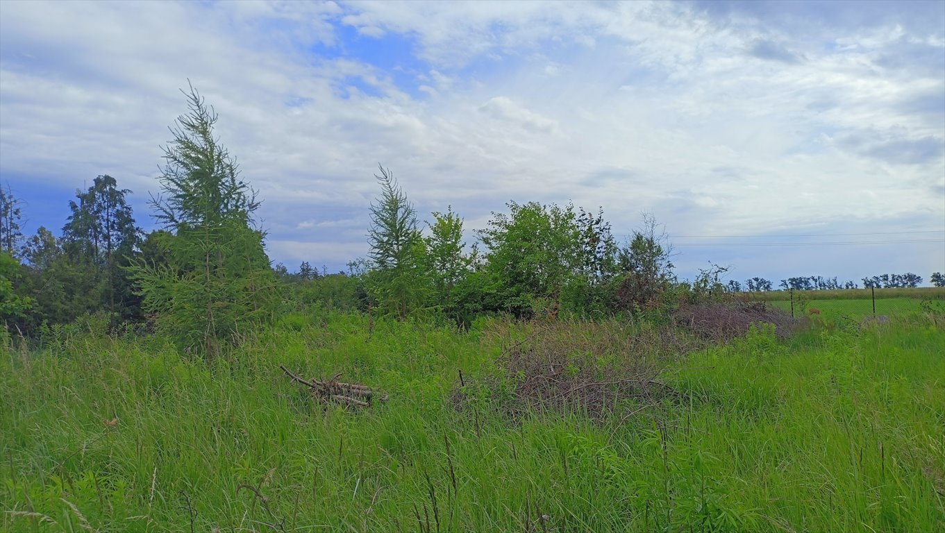 Działka 5923 m² pod zabudowę z mediami w Komornikach Komorniki  5 923m2 Foto 1