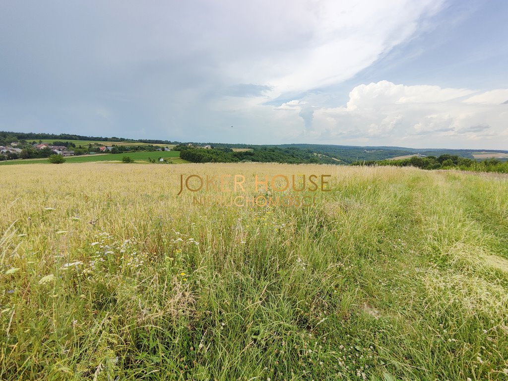 Działka budowlana na sprzedaż Rzeszów, Podkarpacka  4 900m2 Foto 7