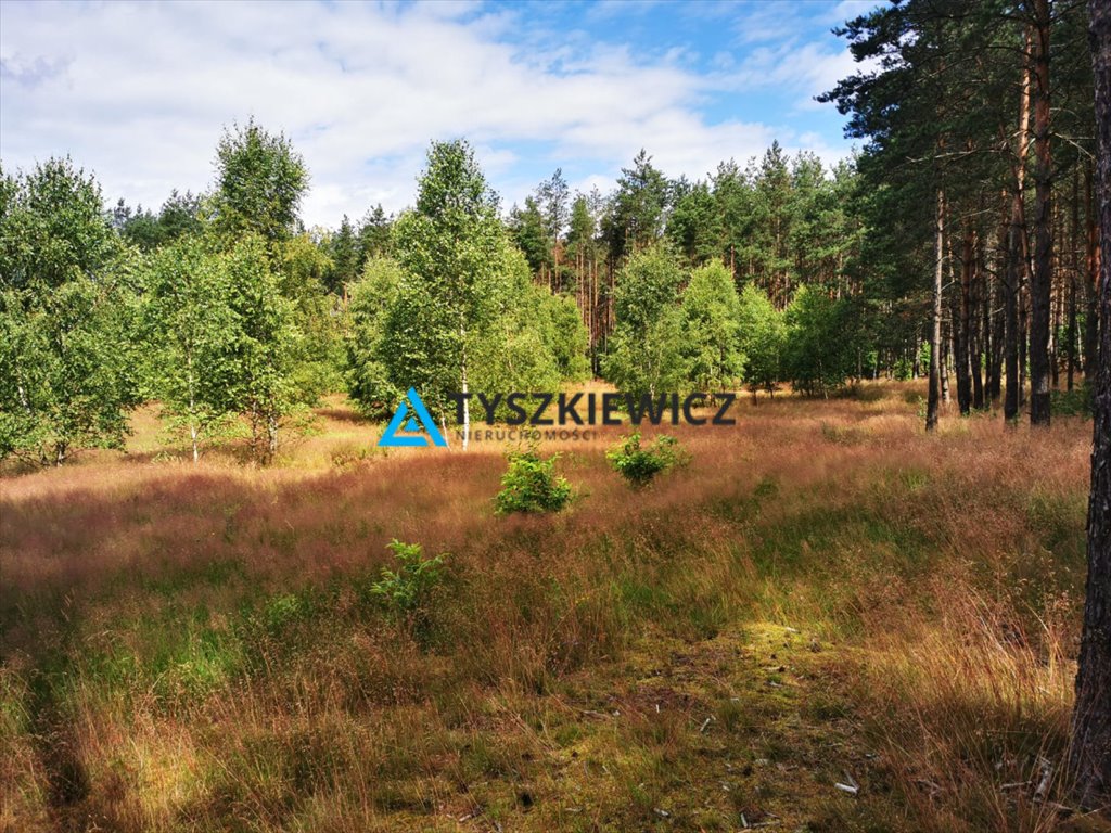 Urokliwa działka 1998 m2 w Parku Borów Tucholskich Wygonin  1 998m2 Foto 1