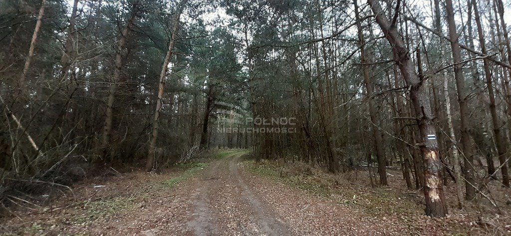Działka leśna na sprzedaż Dubienka  18 700m2 Foto 1