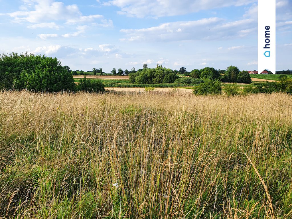 Działka budowlana na sprzedaż Wińsko, Parkowa  1 405m2 Foto 1