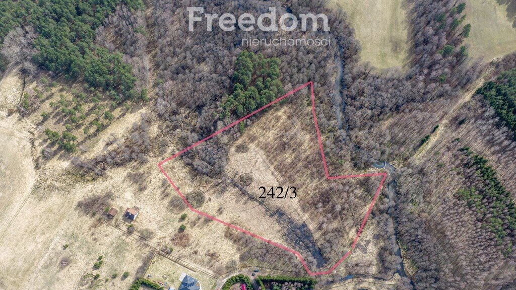 28,9 ha działki z WZ w cenie 19 zł/m²! Patryki  28 900m2 Foto 1