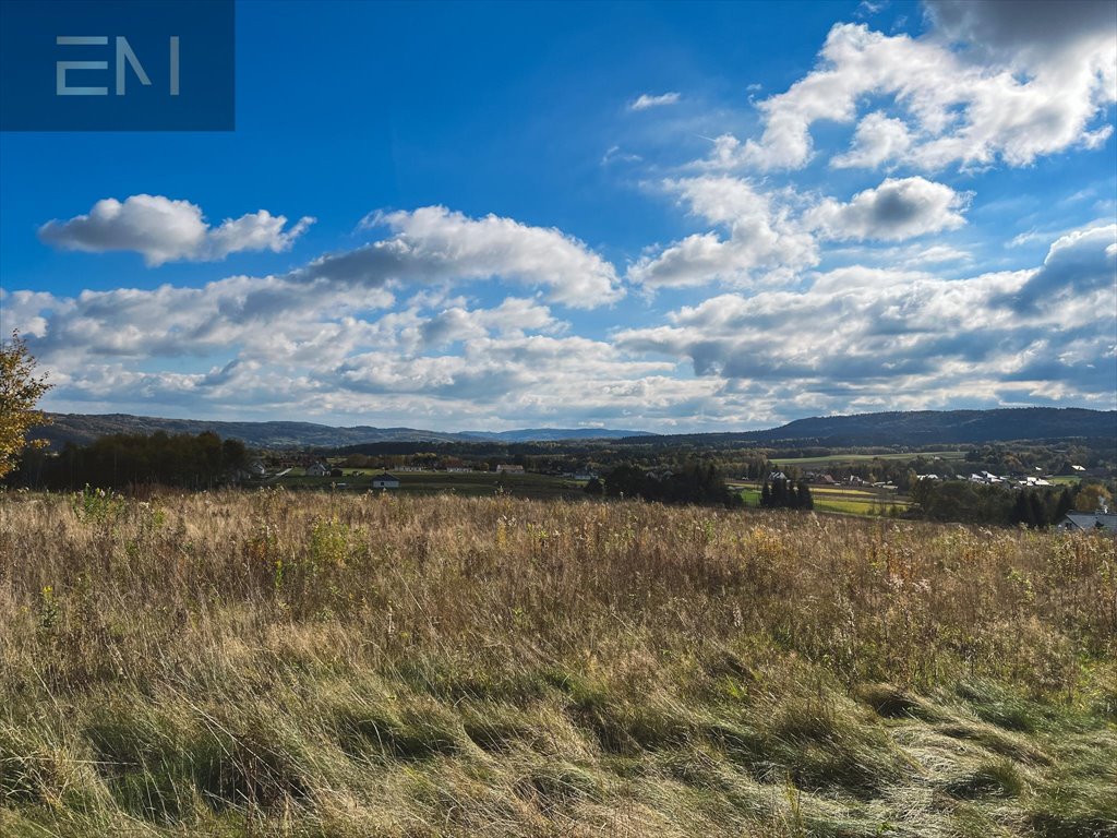 Działka budowlana na sprzedaż Gbiska  4 600m2 Foto 5