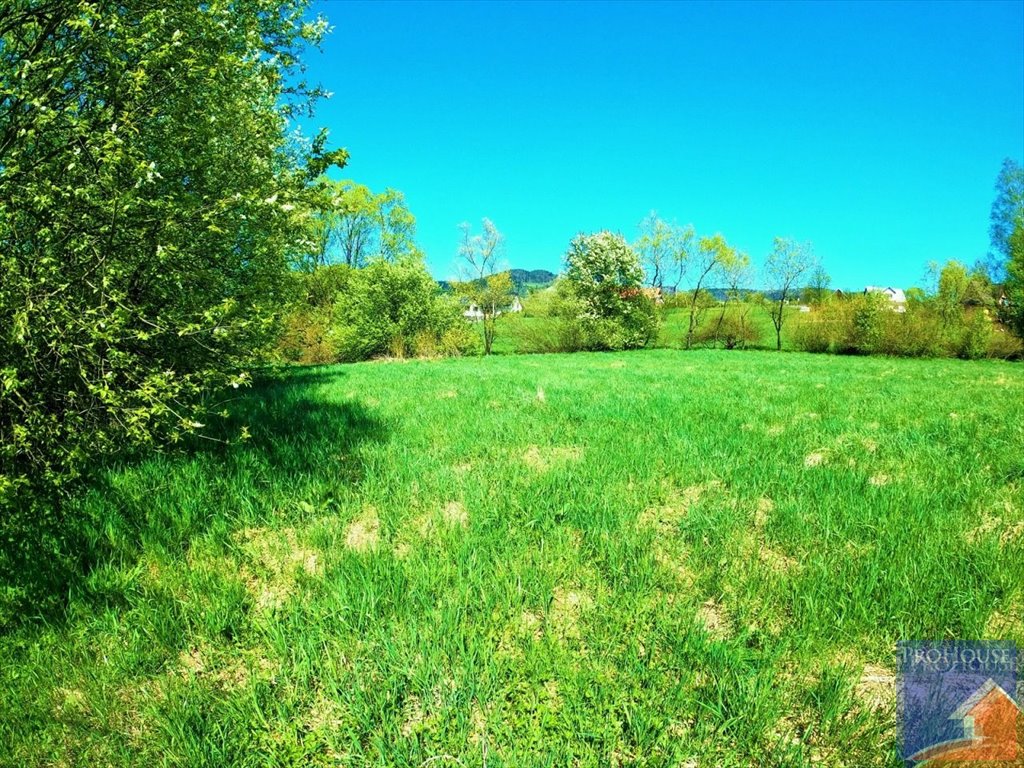 Działka budowlana na sprzedaż Mordarka  2 600m2 Foto 13