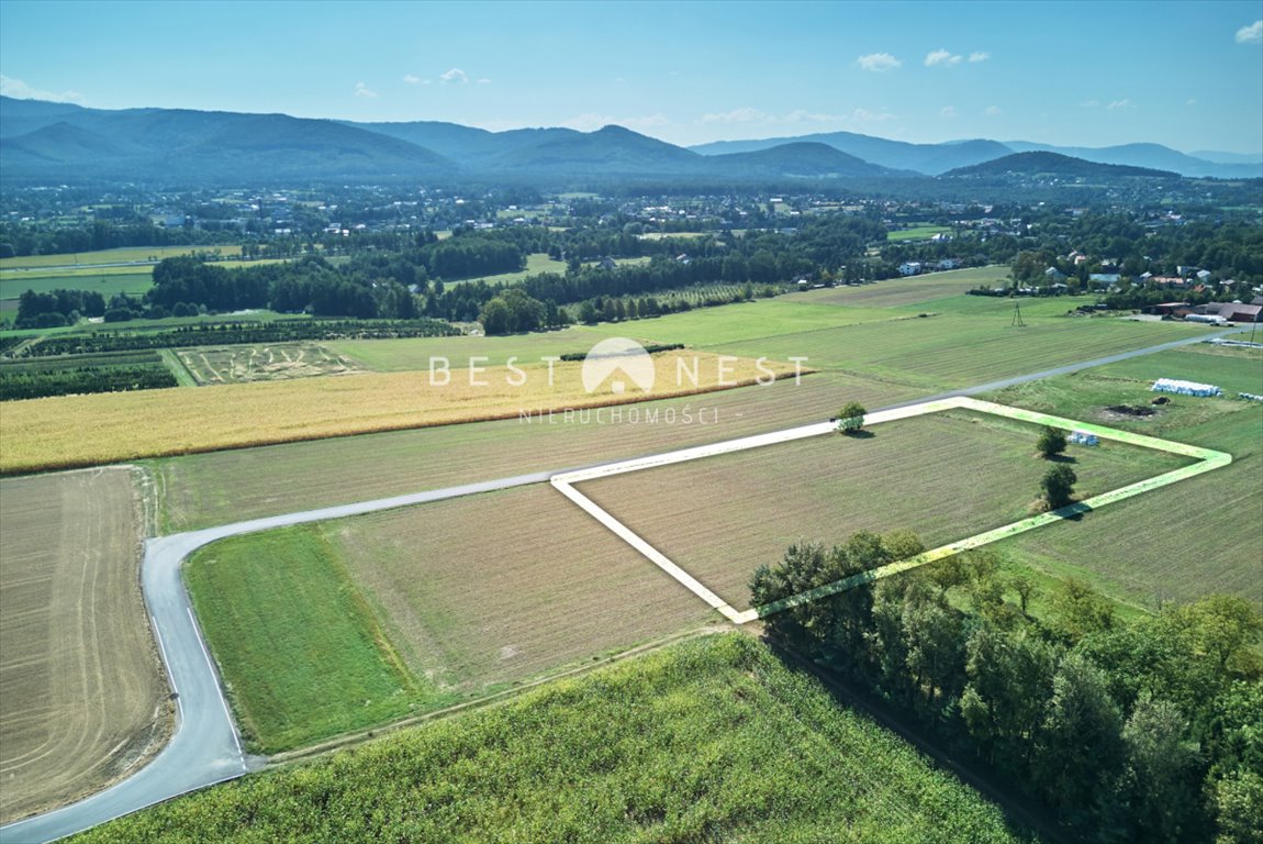 Działka budowlana na sprzedaż Jasienica  10 340m2 Foto 10