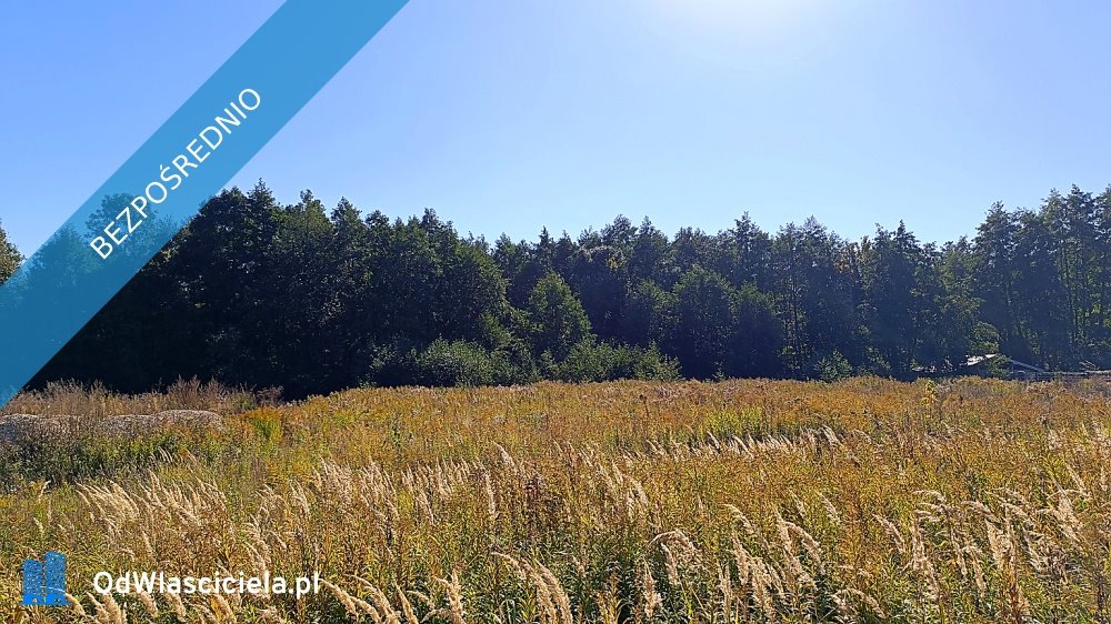 Działka 1692 m² z lasem i dostępem do S7. Bez prowizji. Szczytno  1 692m2 Foto 1