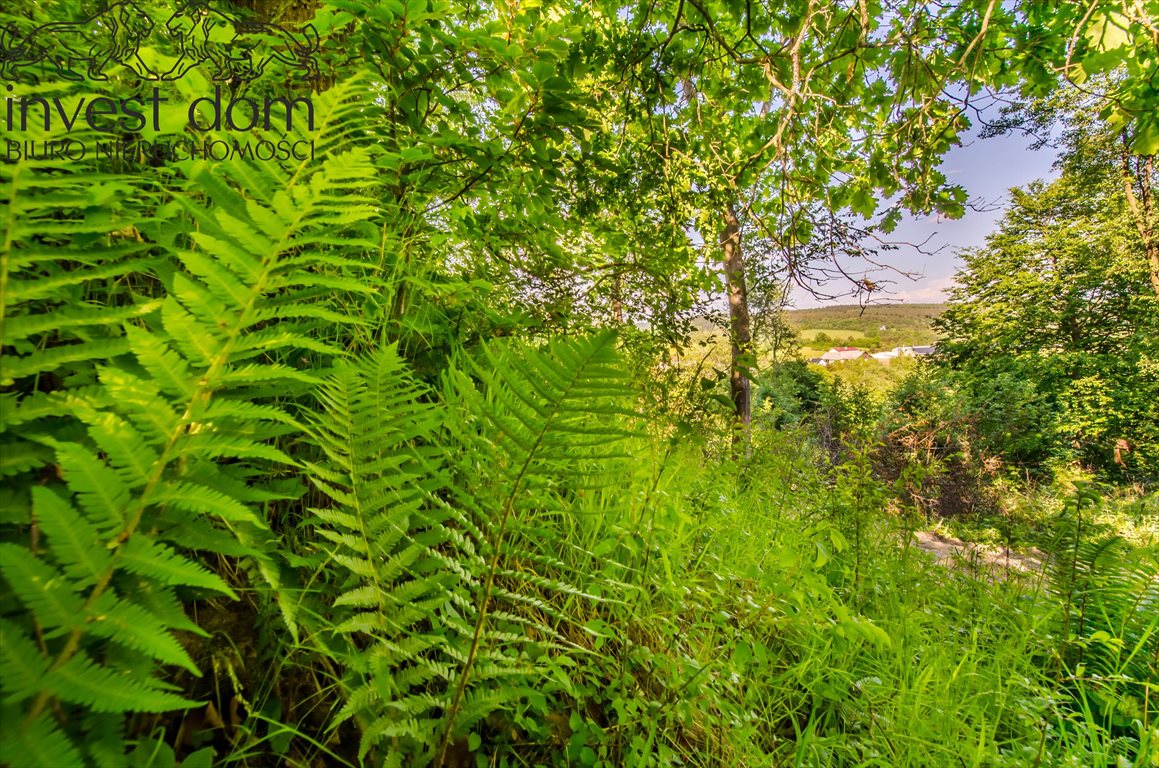 Działka rolno-leśna 1,97 ha z widokiem na Beskid Niski Uście Gorlickie  19 700m2 Foto 1