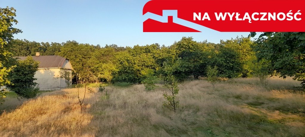 Urokliwa działka z domkiem pod lasem, 3300 m², Głusk Lublin, Głusk  3 300m2 Foto 1