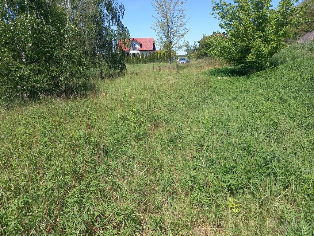 Działka budowlana na sprzedaż Byków  1 000m2 Foto 1