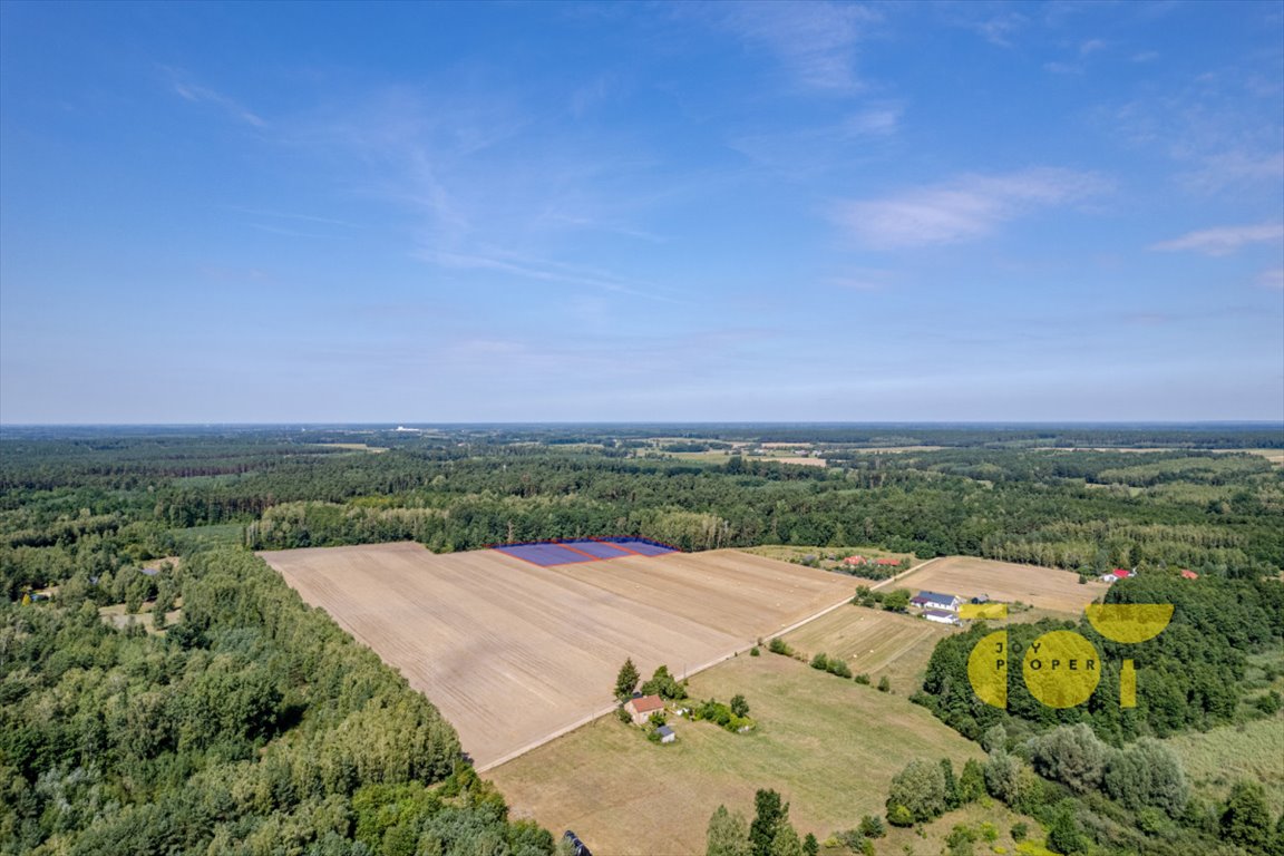 Działka rolna na sprzedaż Przepitki  9 000m2 Foto 8