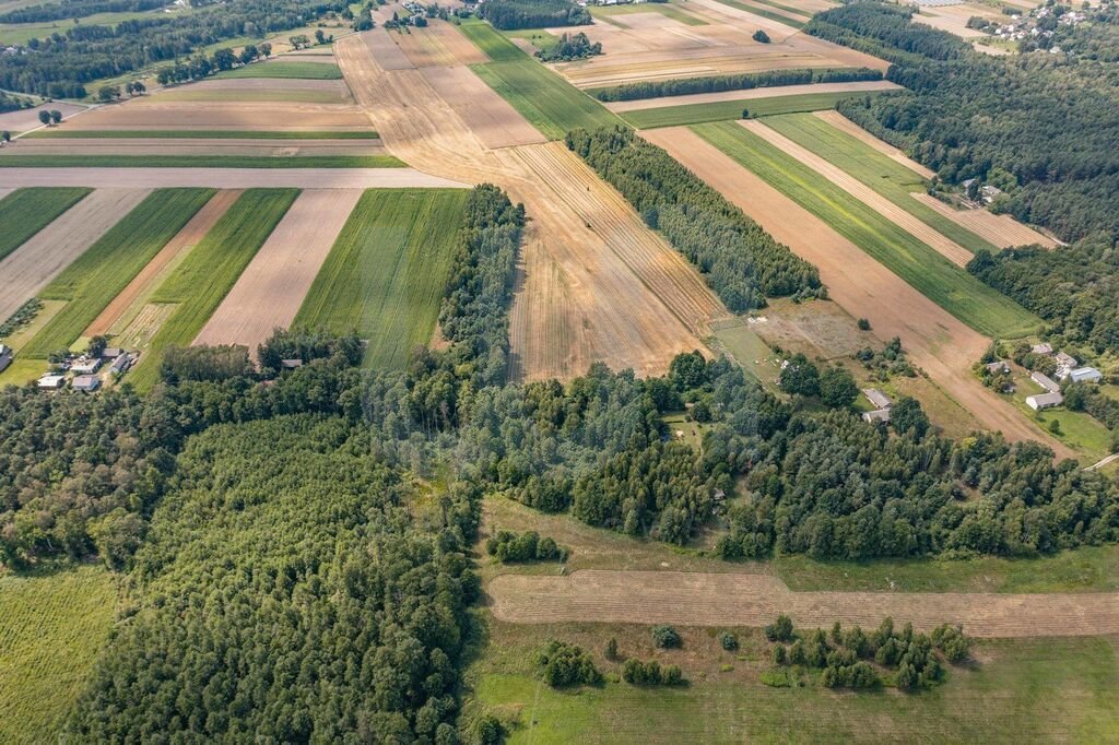 Działka budowlana na sprzedaż Rowy  6 400m2 Foto 12