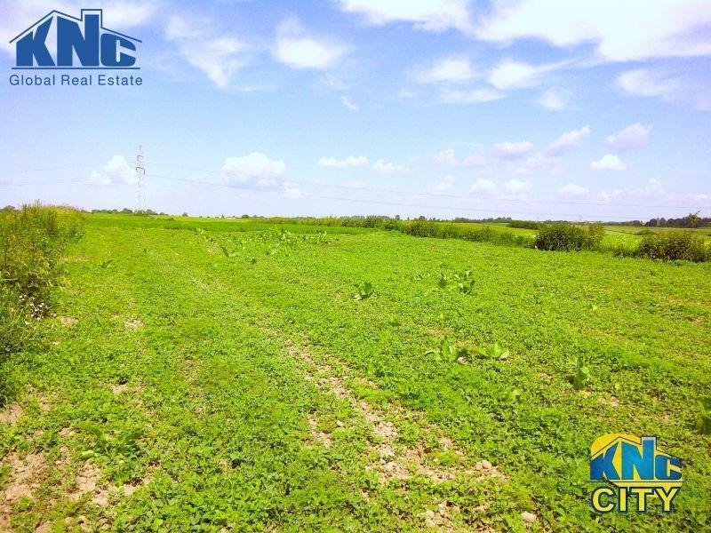 Działka pod zabudowę wielorodzinną w Lublinie 13,5 ha Lublin, Trześniów  13 500m2 Foto 1
