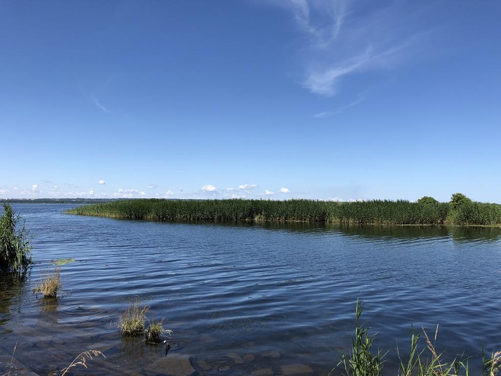 Działka rolna na sprzedaż Czarna Łąka, Tęczowa  774m2 Foto 8