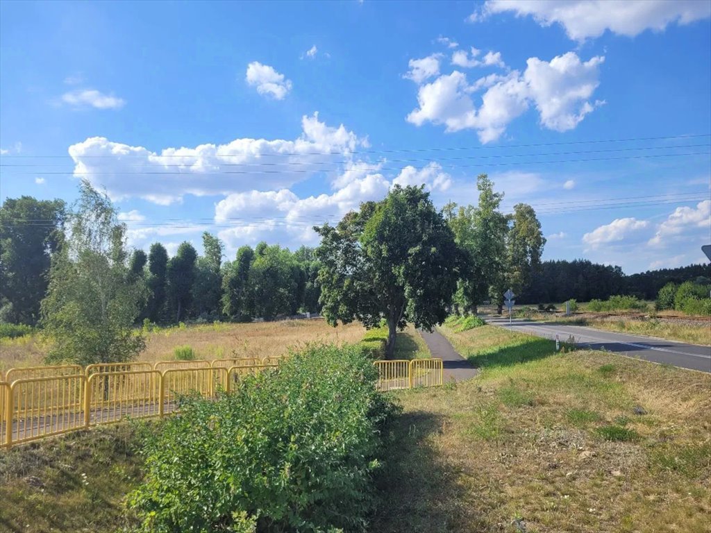 Lokal użytkowy na sprzedaż Międzyrzecz  1 025m2 Foto 10