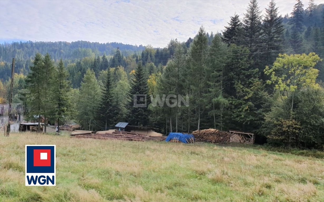 Działka rekreacyjna na sprzedaż Wisła, Jawornik  19 000m2 Foto 2