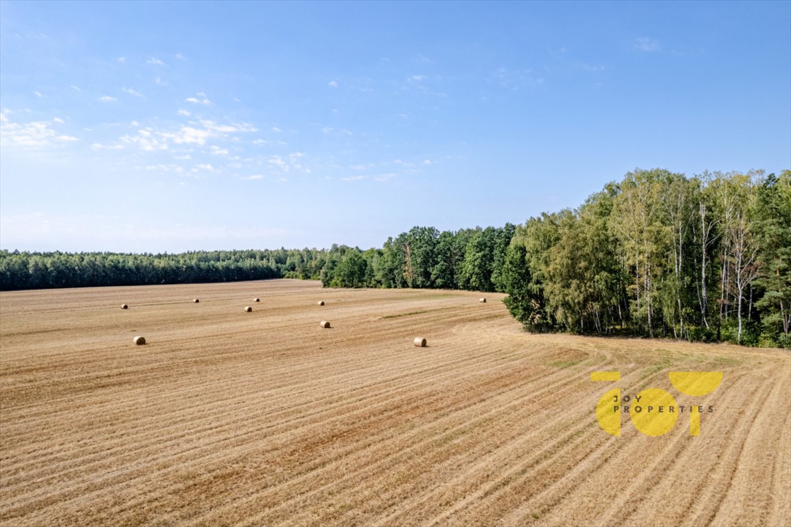 Działka rolna na sprzedaż Przepitki  9 000m2 Foto 5