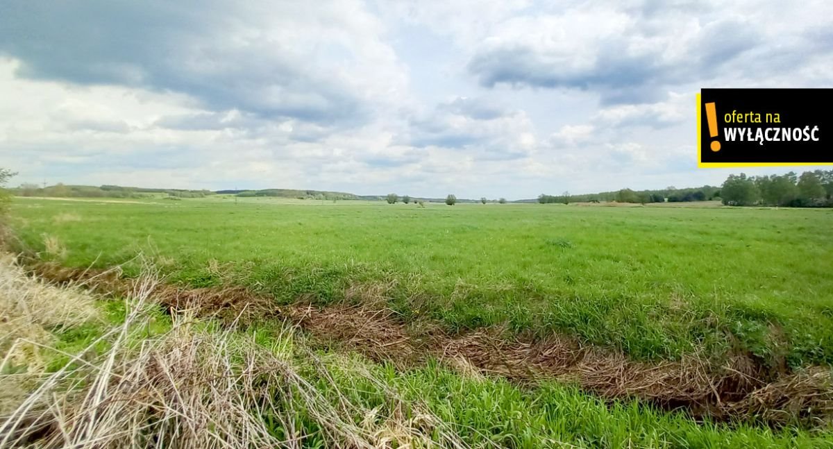 Dom na sprzedaż Maciejowice  70m2 Foto 5