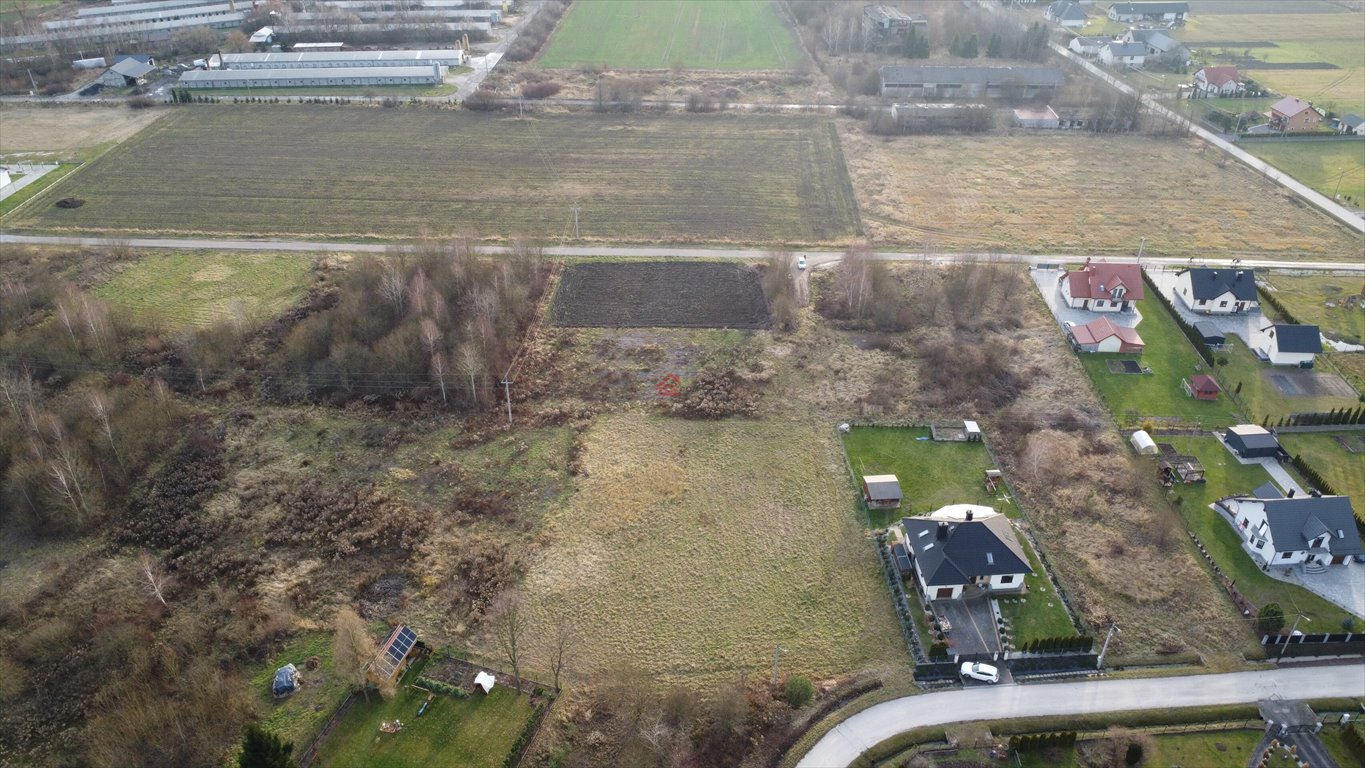 Działka budowlana na sprzedaż Oblęgorek, Spółdzielcza  1 587m2 Foto 4