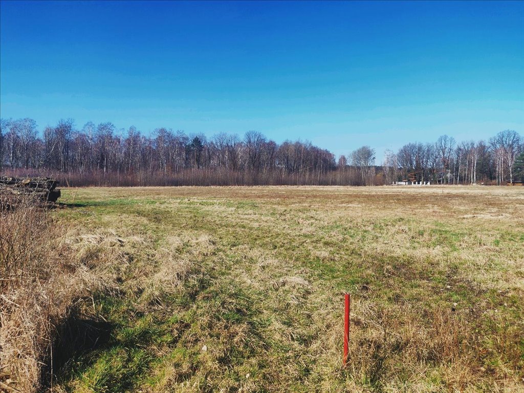 Działka budowlana na sprzedaż Grodzisk Mazowiecki  1 875m2 Foto 5