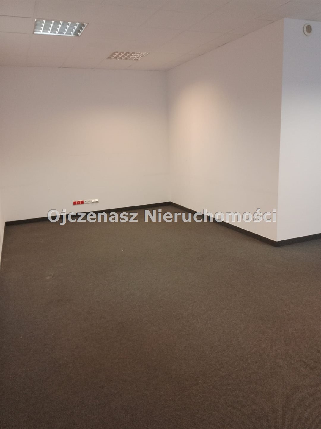Zdjęcie 3