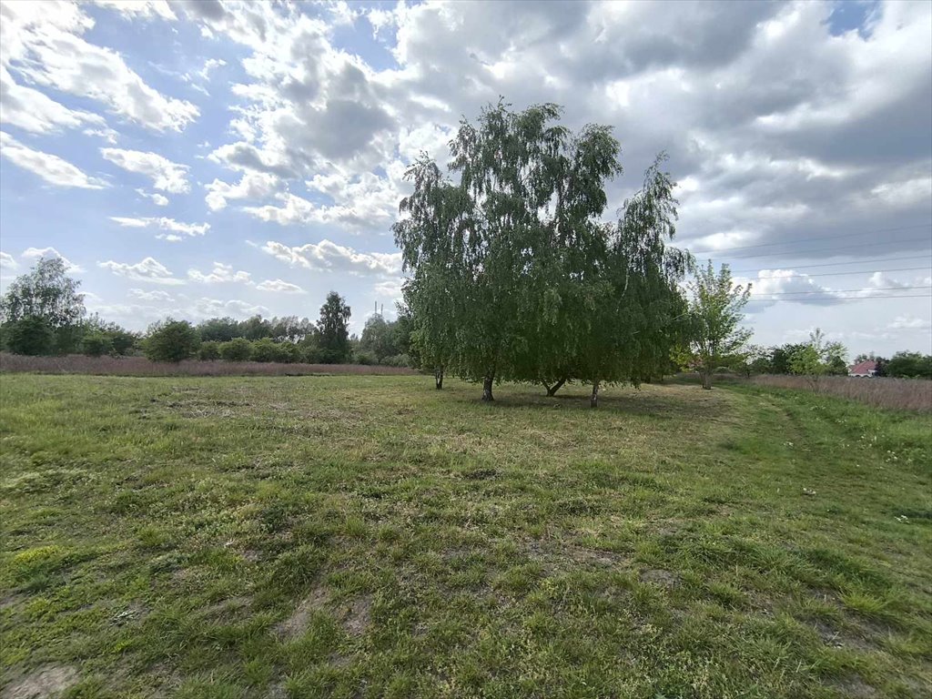 Działka budowlana na sprzedaż Stare Babice  3 400m2 Foto 6