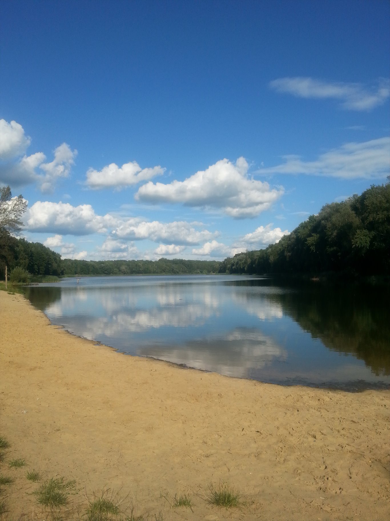 Polecam luksusowy dom 305 m² z dużą działką i lasem Siemonia, Główna  305m2 Foto 1