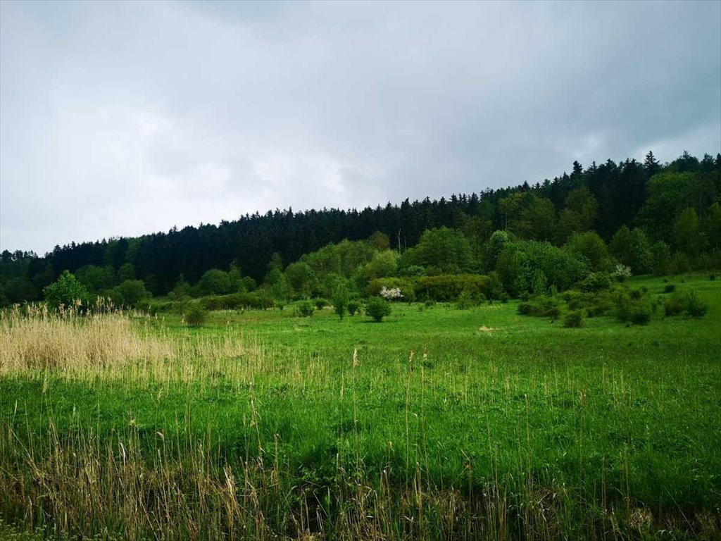 Działka inna na sprzedaż Kłodzko, Stary Wielisław  1 456m2 Foto 6