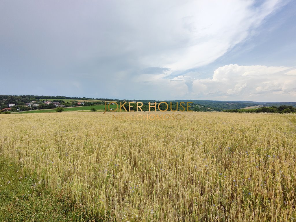 Działka budowlana na sprzedaż Boguchwała  4 900m2 Foto 4