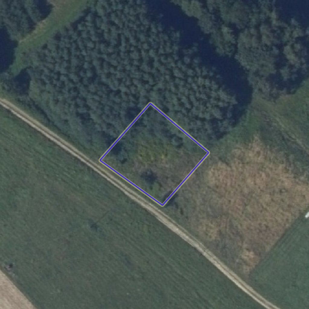 Działka 647 m² z lasem i dostępem w Wojaszówce Wojaszówka  647m2 Foto 1