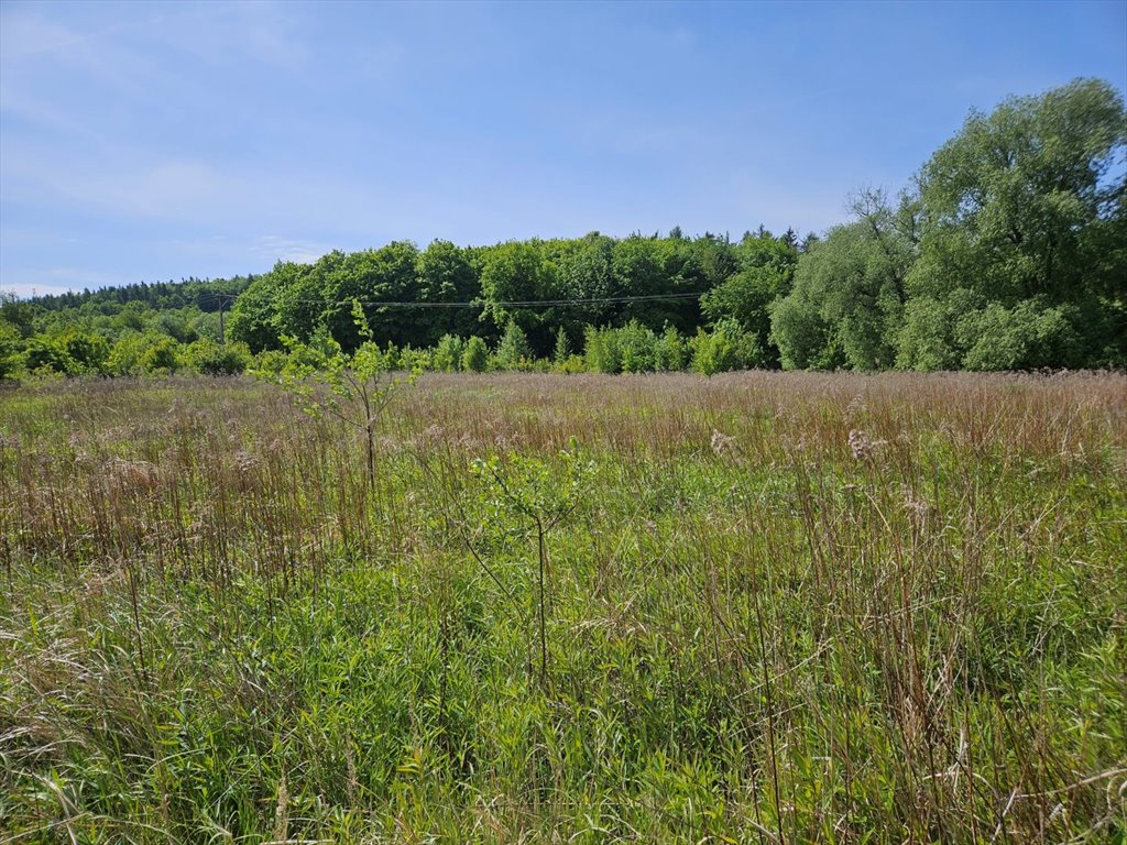 Do sprzedania duża działka 16 104 m² z lasem i infrastrukturą Świebodzice  16 104m2 Foto 1