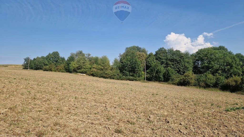 Działka rolna na sprzedaż Puńców, Cieszyńska  5 831m2 Foto 1