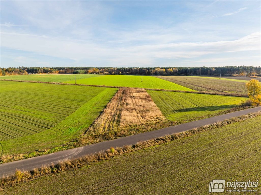 Działka rolna na sprzedaż Glewice, centrum  2 777m2 Foto 14