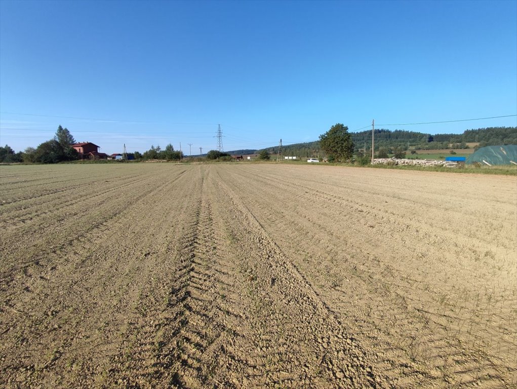 Działka budowlana na sprzedaż Czadrów  1 545m2 Foto 3