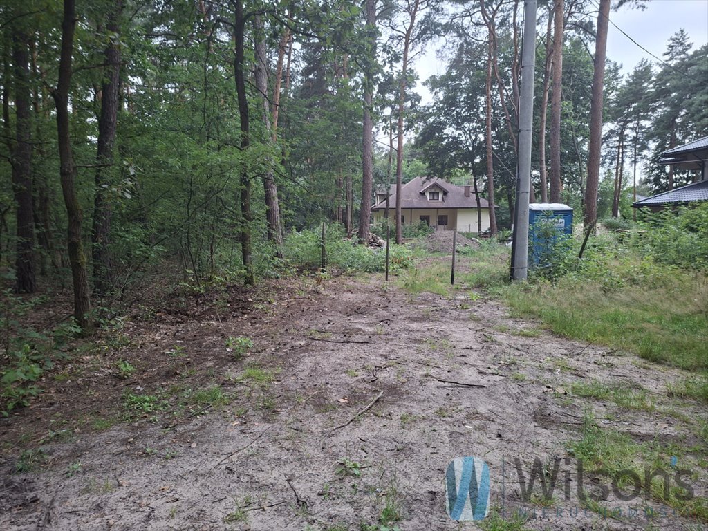 Zdjęcie 5