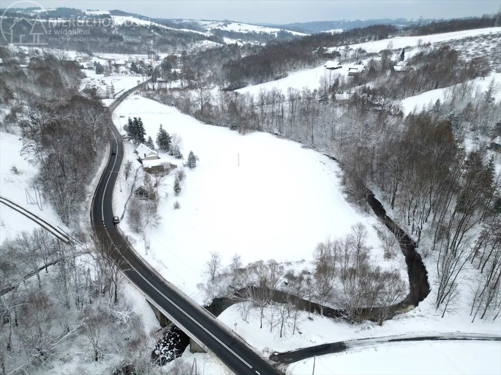 Działka rolna na sprzedaż Rzepiennik Marciszewski  15 000m2 Foto 3