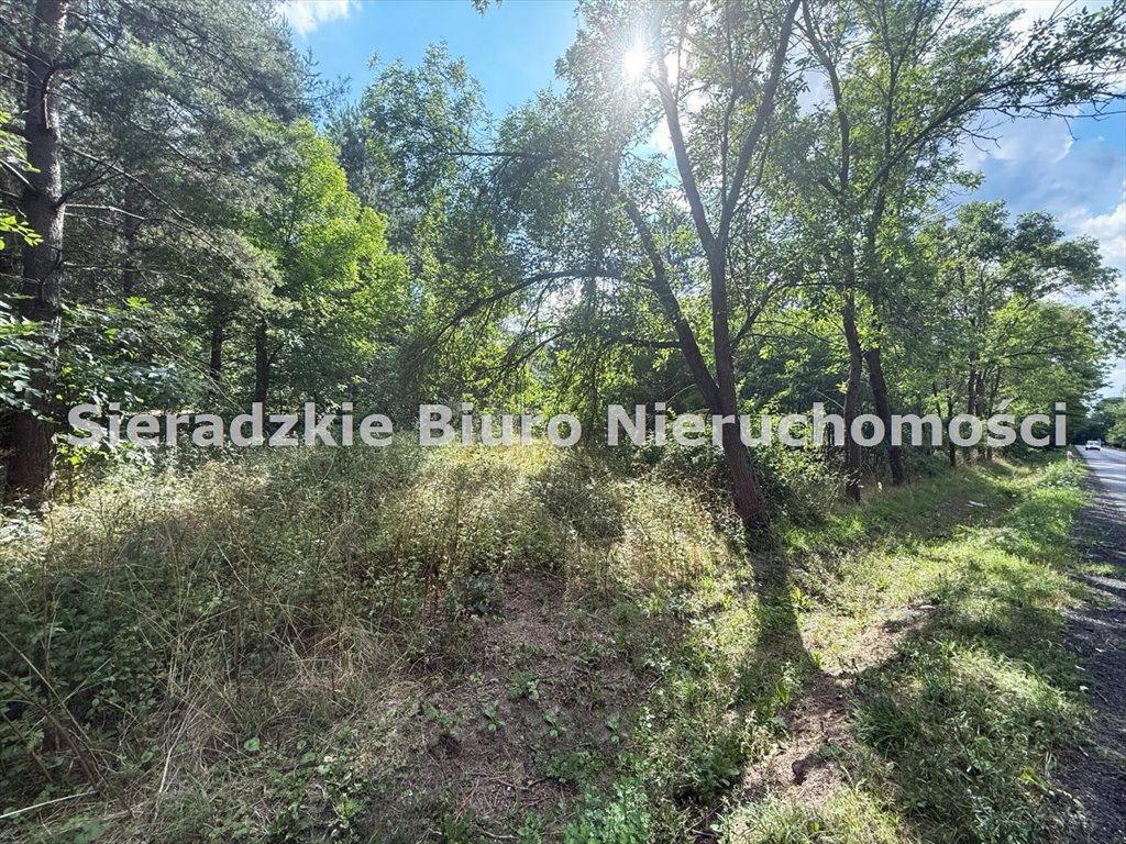 Zdjęcie 2