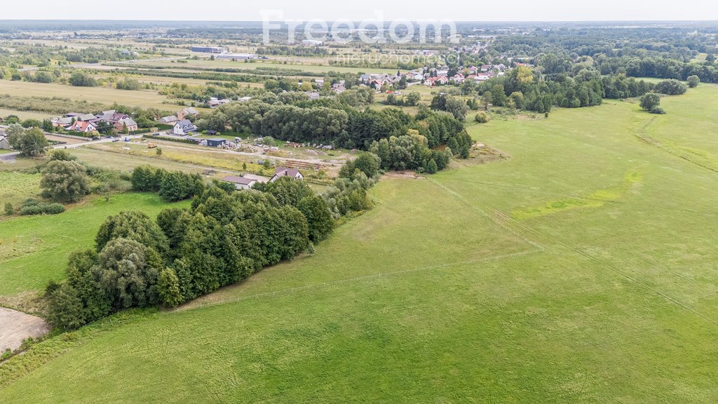 Działka rolna na sprzedaż Ostrówiec  5 600m2 Foto 3