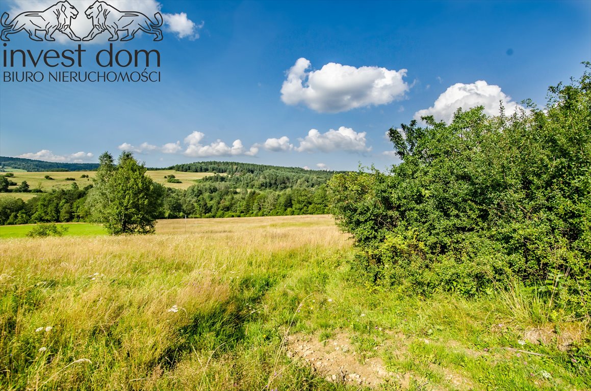 Działka rolna z lasem i strumieniem w Beskidach - polecam! Kunkowa  12 400m2 Foto 1