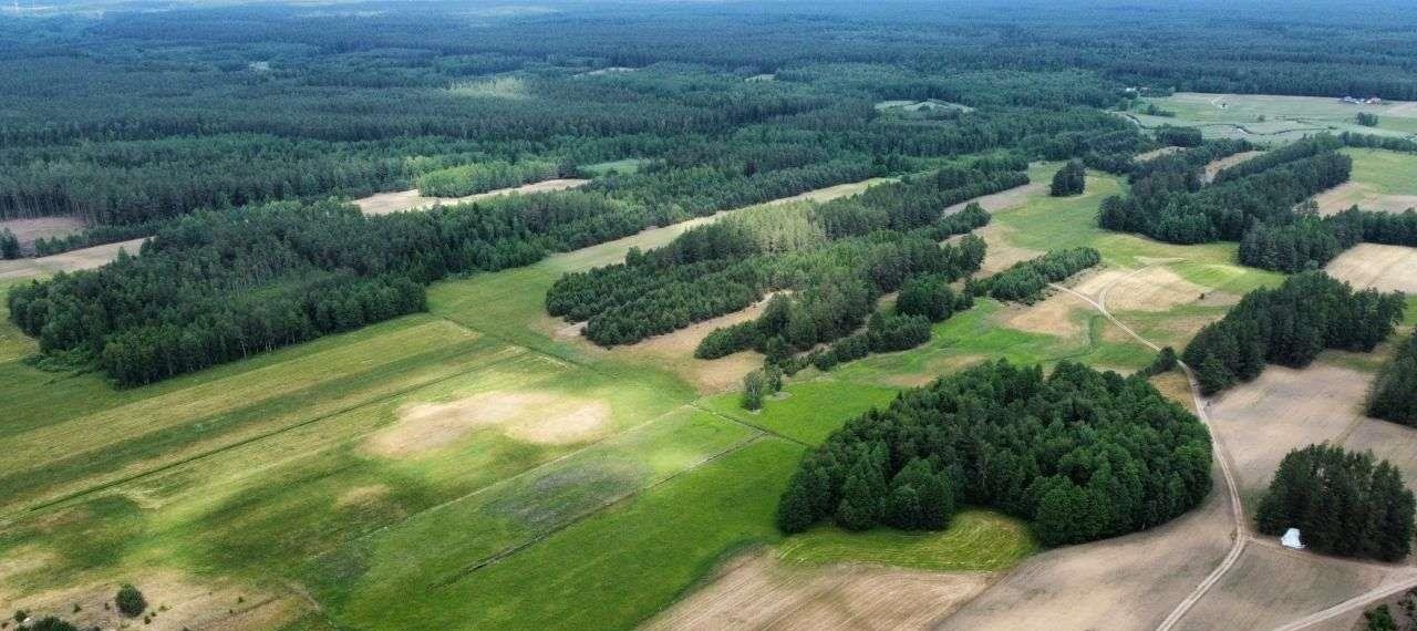 Działka rolna na sprzedaż Strzelcowizna  92 500m2 Foto 12