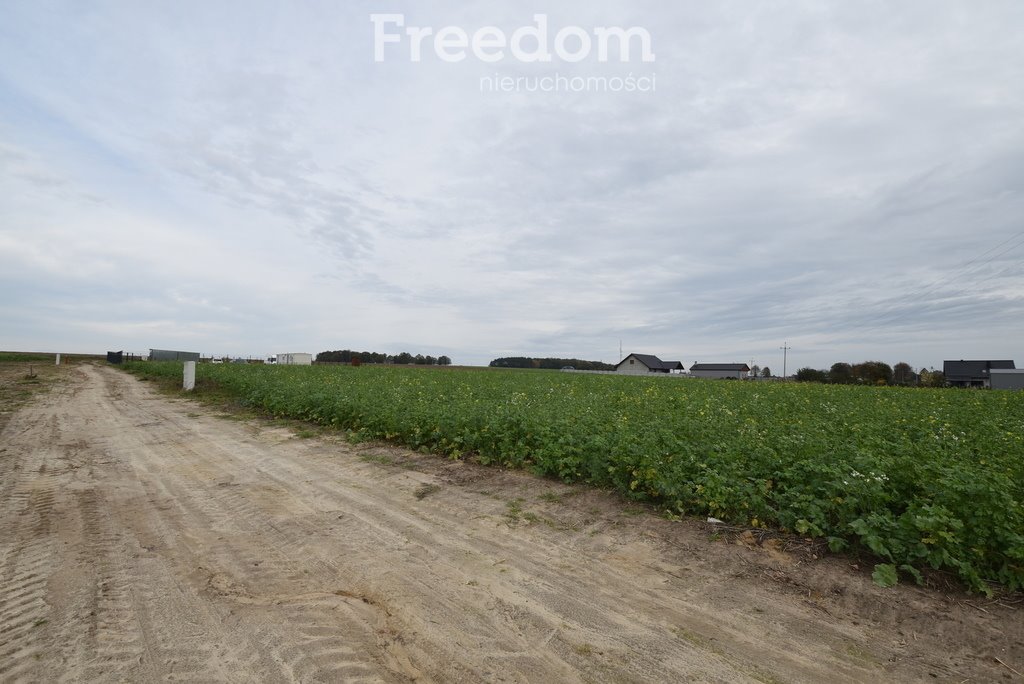 Działka budowlana na sprzedaż Świerczów  1 320m2 Foto 1