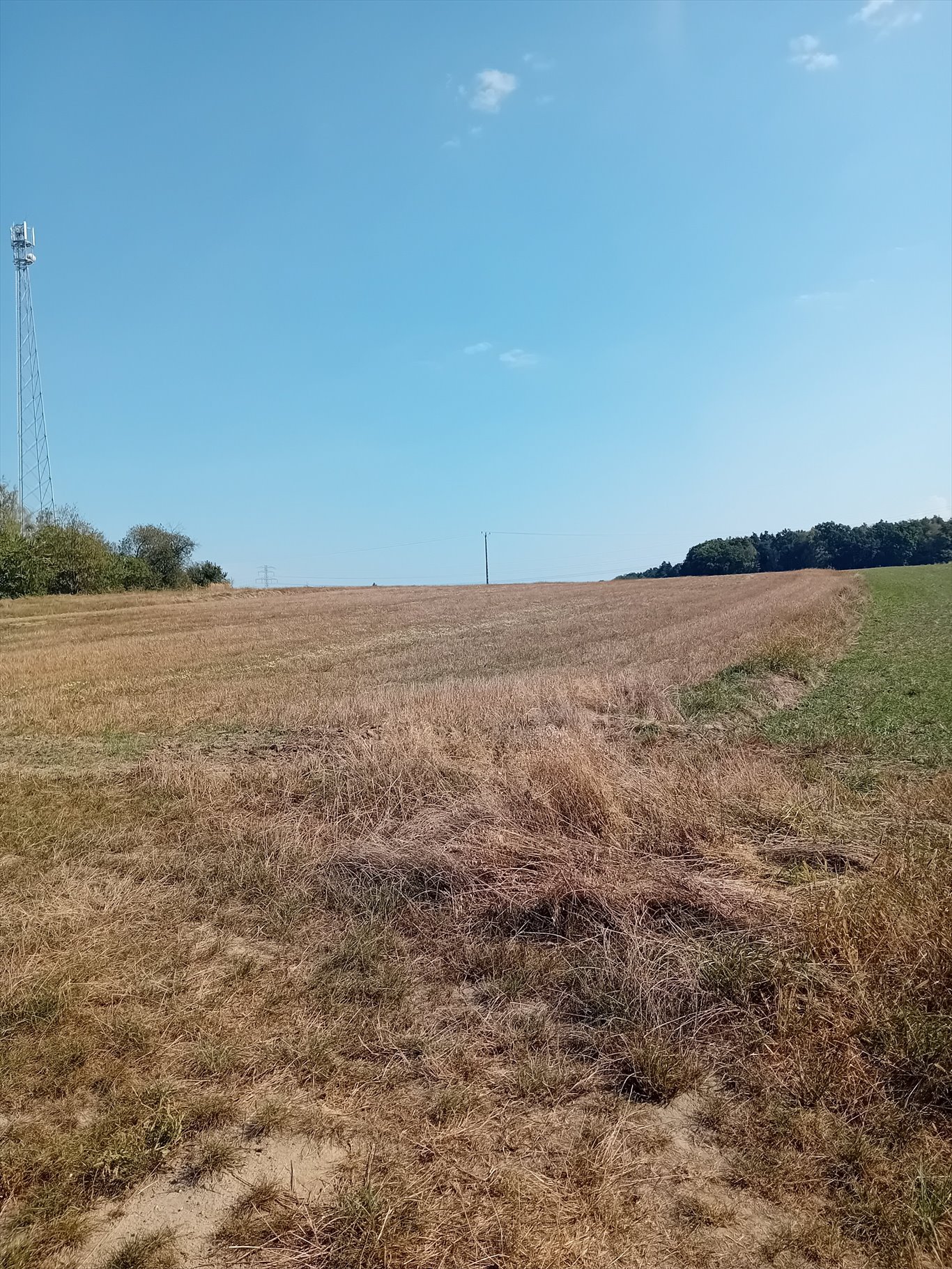 Działka rolna na sprzedaż Sierakowice  24 000m2 Foto 2