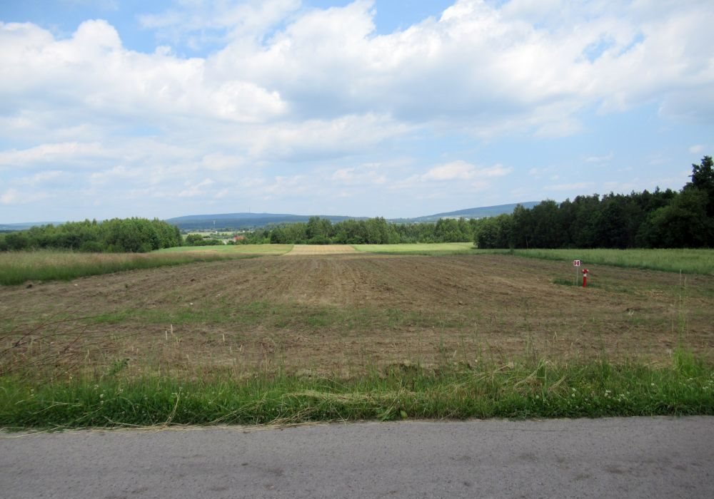 Działka budowlana na sprzedaż Wola Łagowska  2 000m2 Foto 4