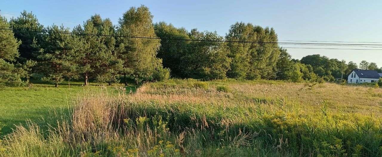 Działka rolna na sprzedaż Gruszewnia, ul. Andrzeja Kmicica  2 400m2 Foto 3